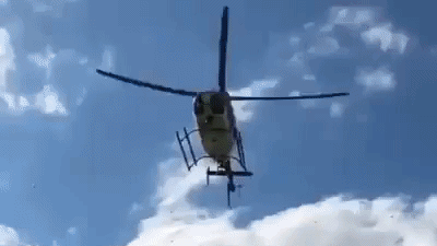 giphy-53.gif 