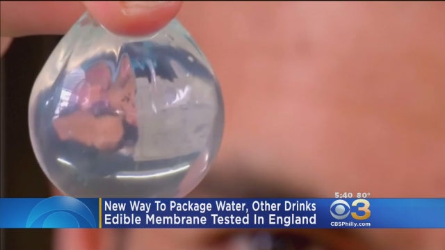 edibe-water-bottle.jpg 