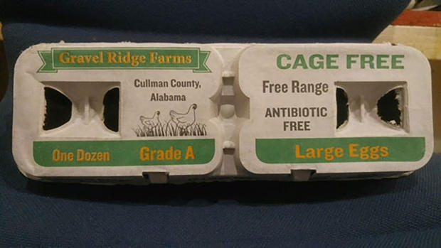 Recalled eggs linked to salmonella cases in seven states 