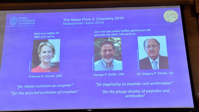 Pictures of the 2018 Nobel Prize laureates for chemistry are displayed on a screen during the announcement at the Royal Swedish Academy of Sciences, in Stockholm 