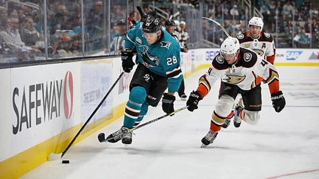 sharks-ducks.jpg 