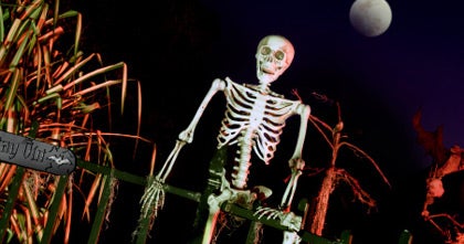 Man Stabbed At Haunted House After Friend Mistakes Knife For Prop CBS