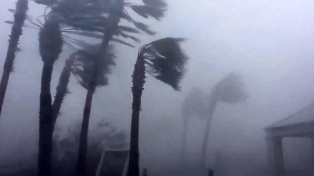 Palm trees are seen during a Hurricane Michael in Panama City 