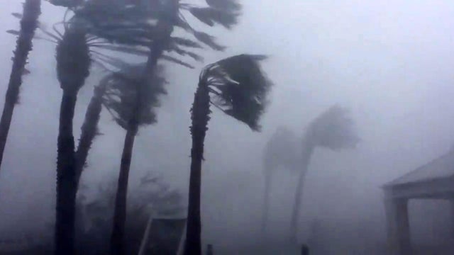 Palm trees are seen during a Hurricane Michael in Panama City