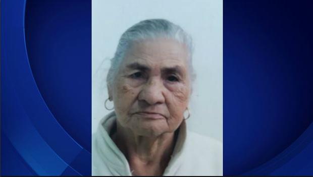 Search Continues For 91-Year-Old Woman Who Went Missing In Central LA 