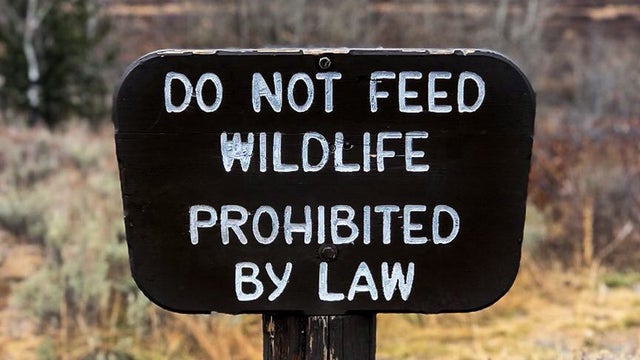 do-not-feed-wildlife-sign-cropped.jpg 