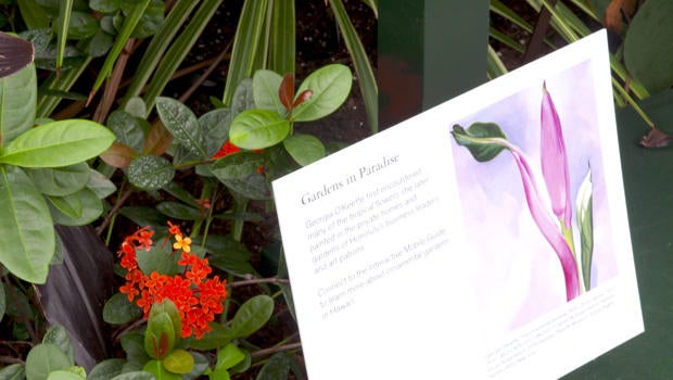 georgia-okeeffe-visions-in-hawaii-flower-show-620.jpg 