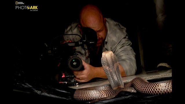 ot-photoark-1682708-640x360.jpg 