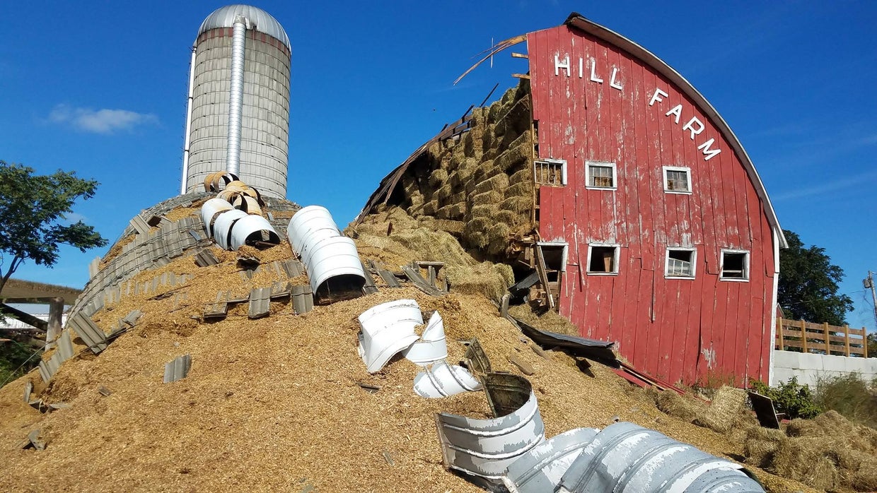 Calves Trapped Inside Lunenburg Barn Following Silo Collapse CBS Boston