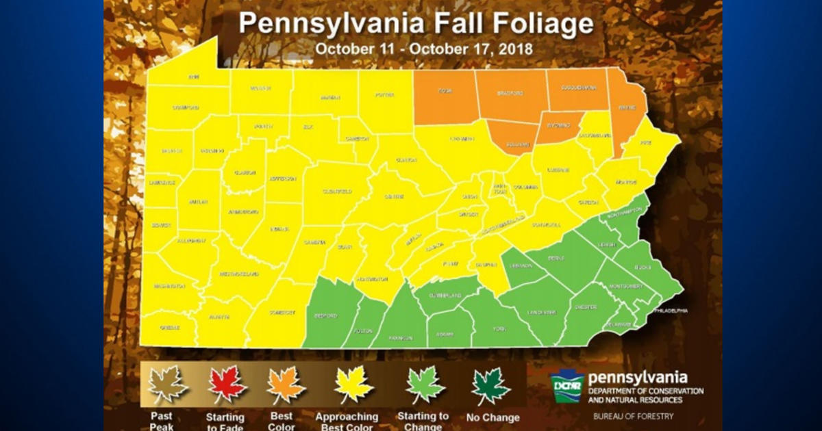 Fall Colors Starting To Pop Across Pennsylvania CBS Pittsburgh