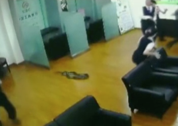 python falls from ceiling at bank in China 
