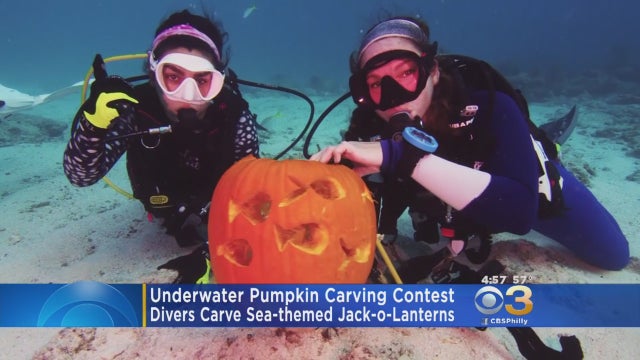 underwater-pumpkin-contest.jpg 