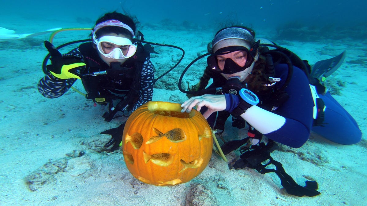 Halloween Spirit Comes Alive At Underwater Pumpkin Carving Contest