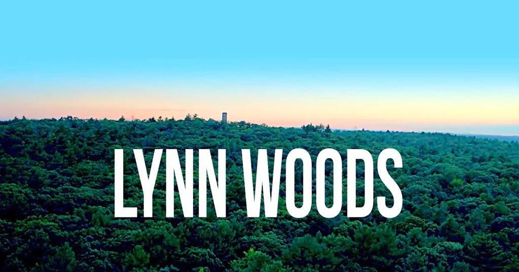 It Happens Here Lynn, Home Of Lynn Woods & Hidden Treasure CBS Boston