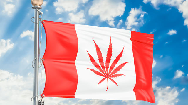Legalization of cannabis in Canada. Canadian flag with marijuana leaf, 3D rendering 