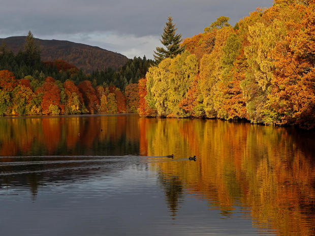 Autumnal foliage is reflected on Loch Faskally Perthshire, Scotland 