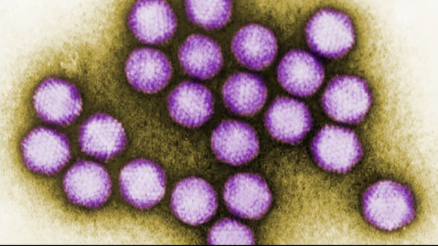 adenovirus-outbreak.png 