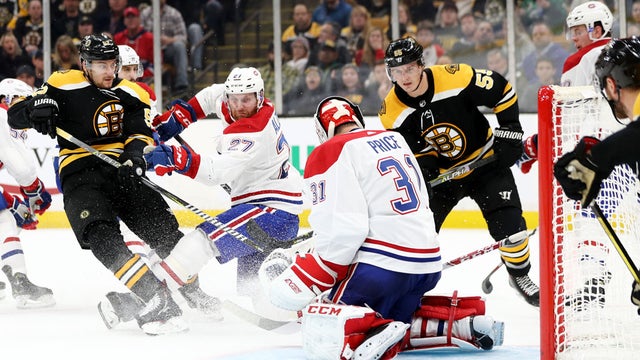 bruins.jpg 