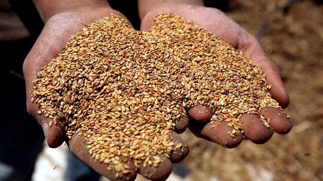 sesame-seeds.jpg 