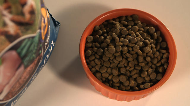 grain-free-dog-food-heart-disease.jpg 