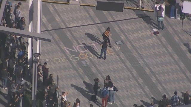 google_walkout_mountain_view_110118_02.jpg 