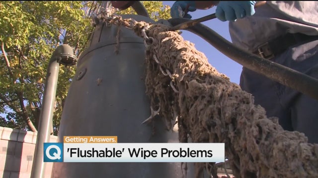 flushable-wipe-problems.jpg 