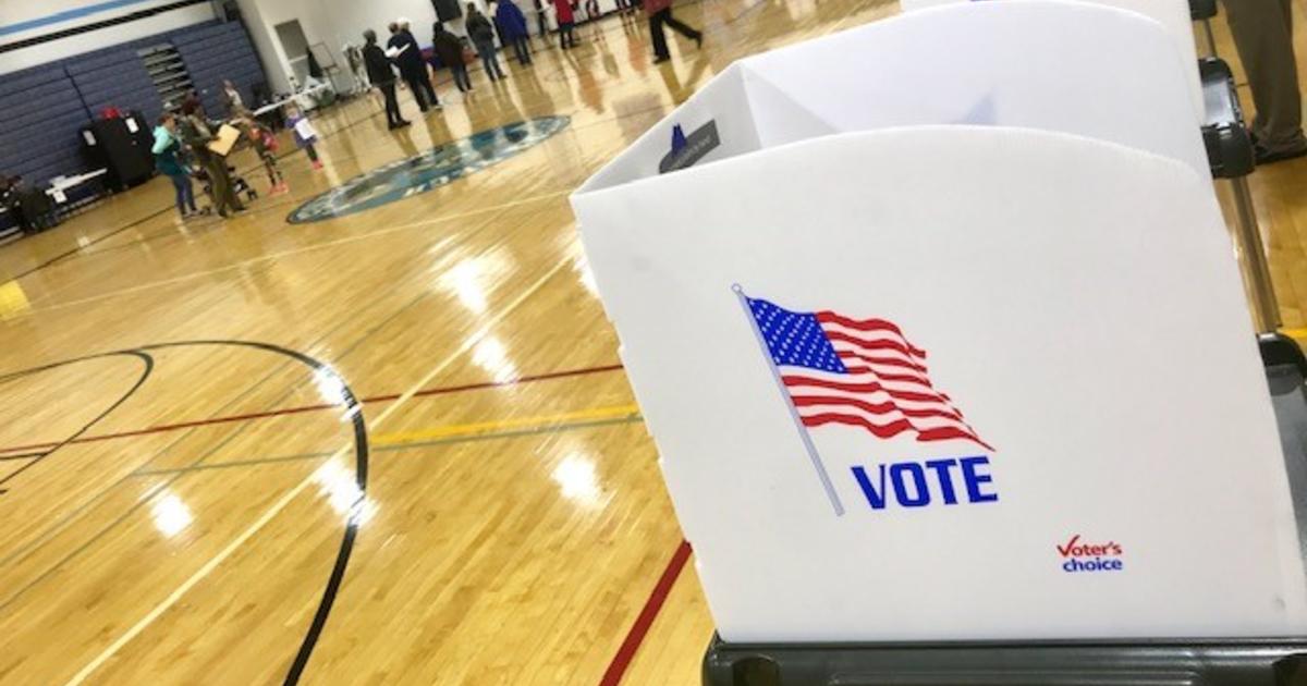 Maryland Officials Release Election Results After Temporary Ballot ...