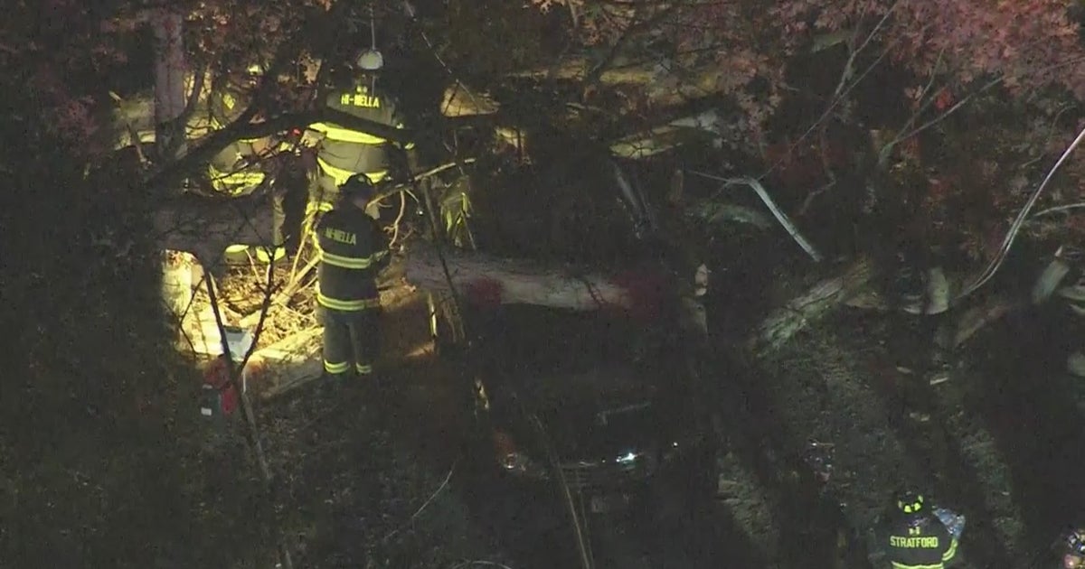 Woman Injured After Massive Tree Falls Onto Car In Camden County - CBS ...