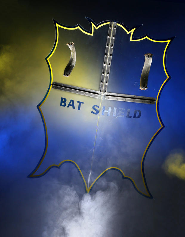 bat shield 