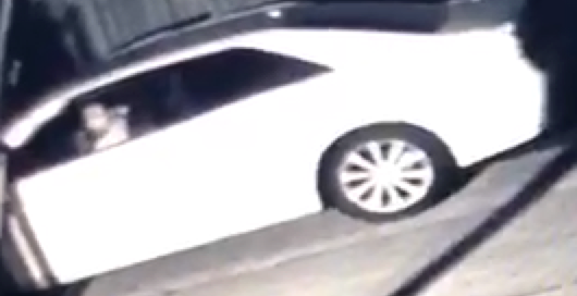 surveillance camera thief suspect 