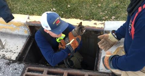 'Pawesome Rescue!': Firefighters Save Cat Stuck In Storm Drain - CBS ...