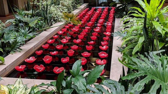 wwi-poppies-display-3-from-vfw-post-11.jpg 
