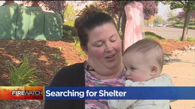searching-for-shelter.jpg 