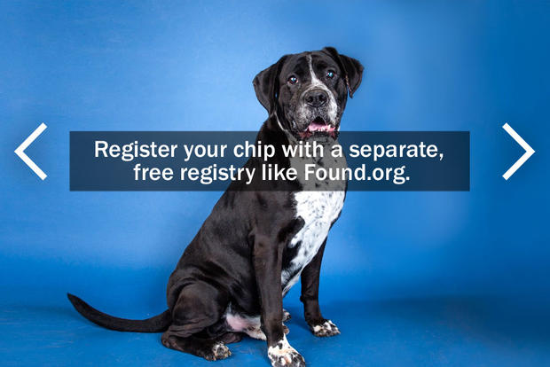 Register your chip with separate, free registry like Found.org. 