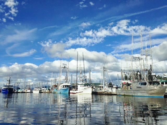 By the numbers America's deadliest mass shootings