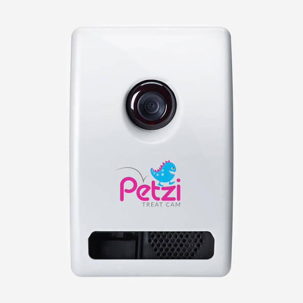 petzi-treat-cam-1539390093-fvgeqz.jpg 
