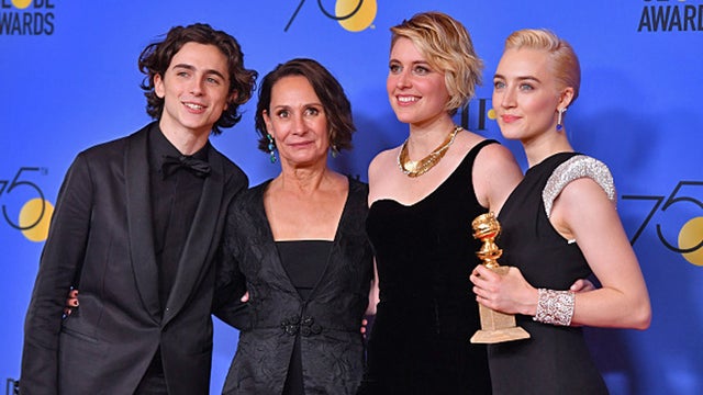 golden-globe-ladybird.jpg 
