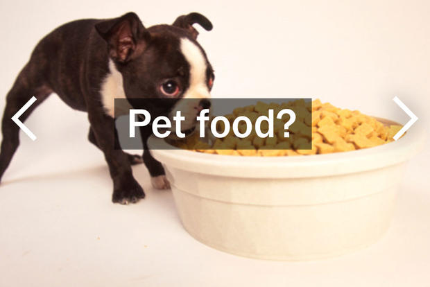 Pet Food? 