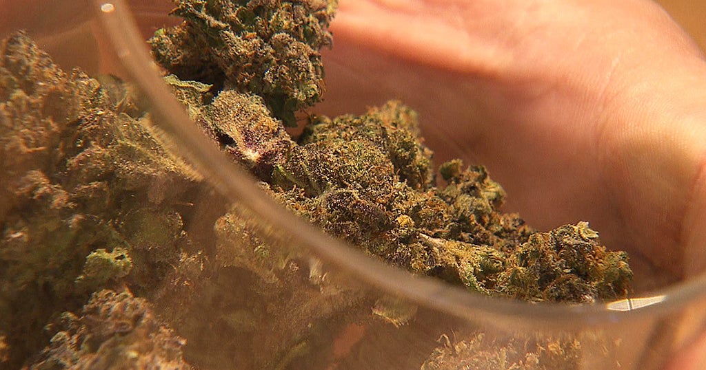 Recreational marijuana Amendment 3 backers, DeSantis square off Recreational marijuana Amendment 3 backers, DeSantis square off