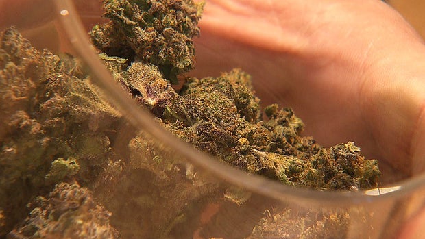 pot.jpg 
