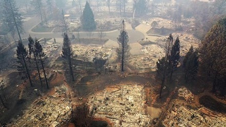 1116wildfire.jpg 