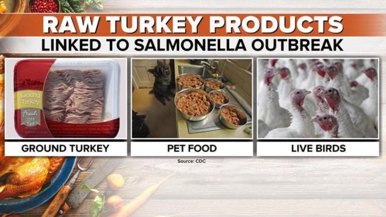 can dogs get salmonella from turkey