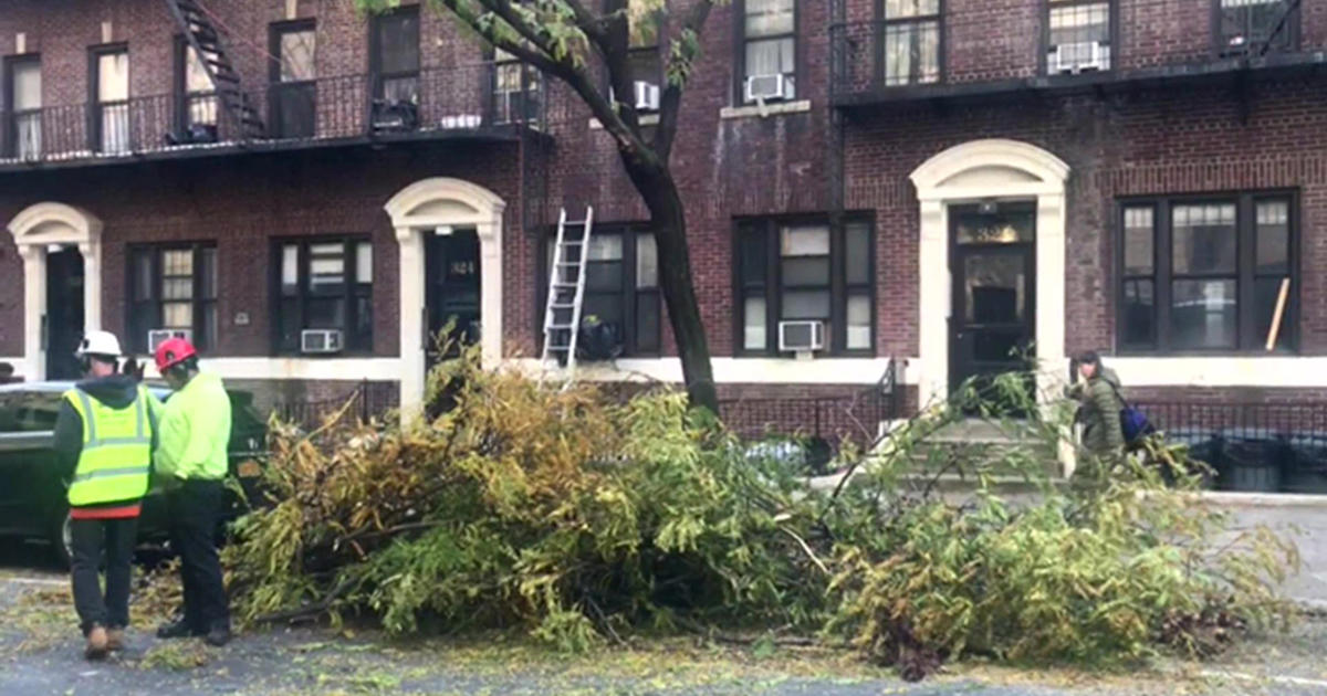 Residents Fume As Downed Trees Linger Across Nyc Streets Cbs New York