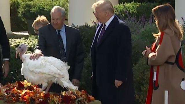 cbsn-fusion-president-trump-pardons-thanksgiving-turkey-thumbnail-1716703-640x360.jpg 