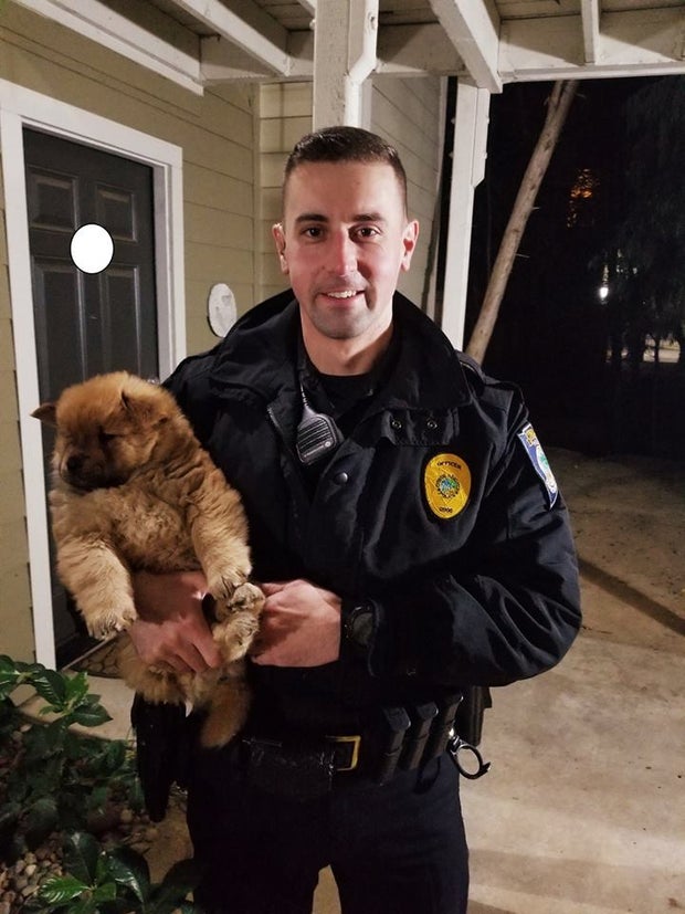 Stolen Puppy - Citrus Heights PD 