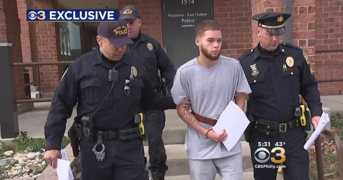 Police: Hit-And Run Driver Who Fatally Struck Man In Chester County ...