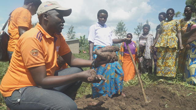 cip-agronomist-teaching-female-farmers-in-rural-rwanda-about-orange-fleshed-sweet-potatoes.jpg 