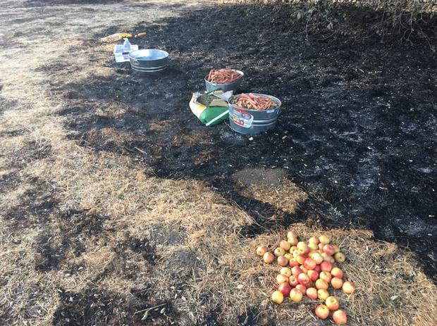 Food left for wildlife in Santa Monica Mountains 