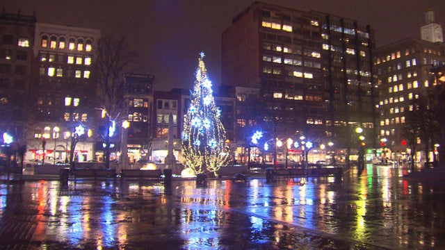 wetcopleysquaretree.jpg 
