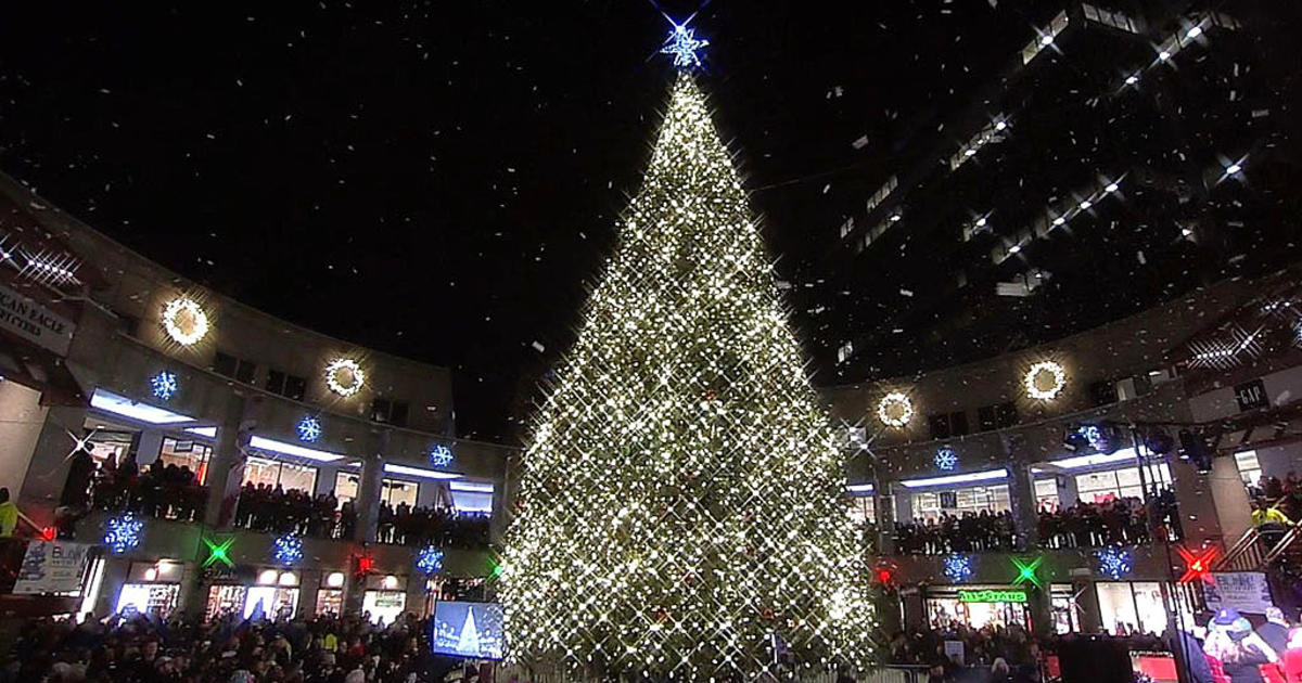 Christmas Tree Lighting in West Fenway – The Boston Sun